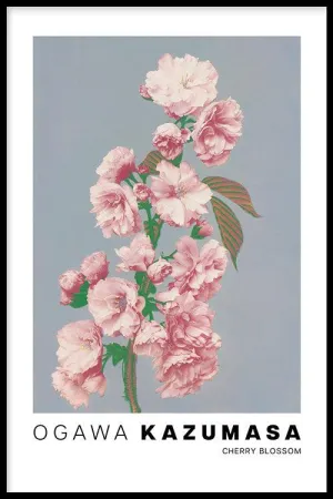Ogawa Kazumasa - Cherry Blossom