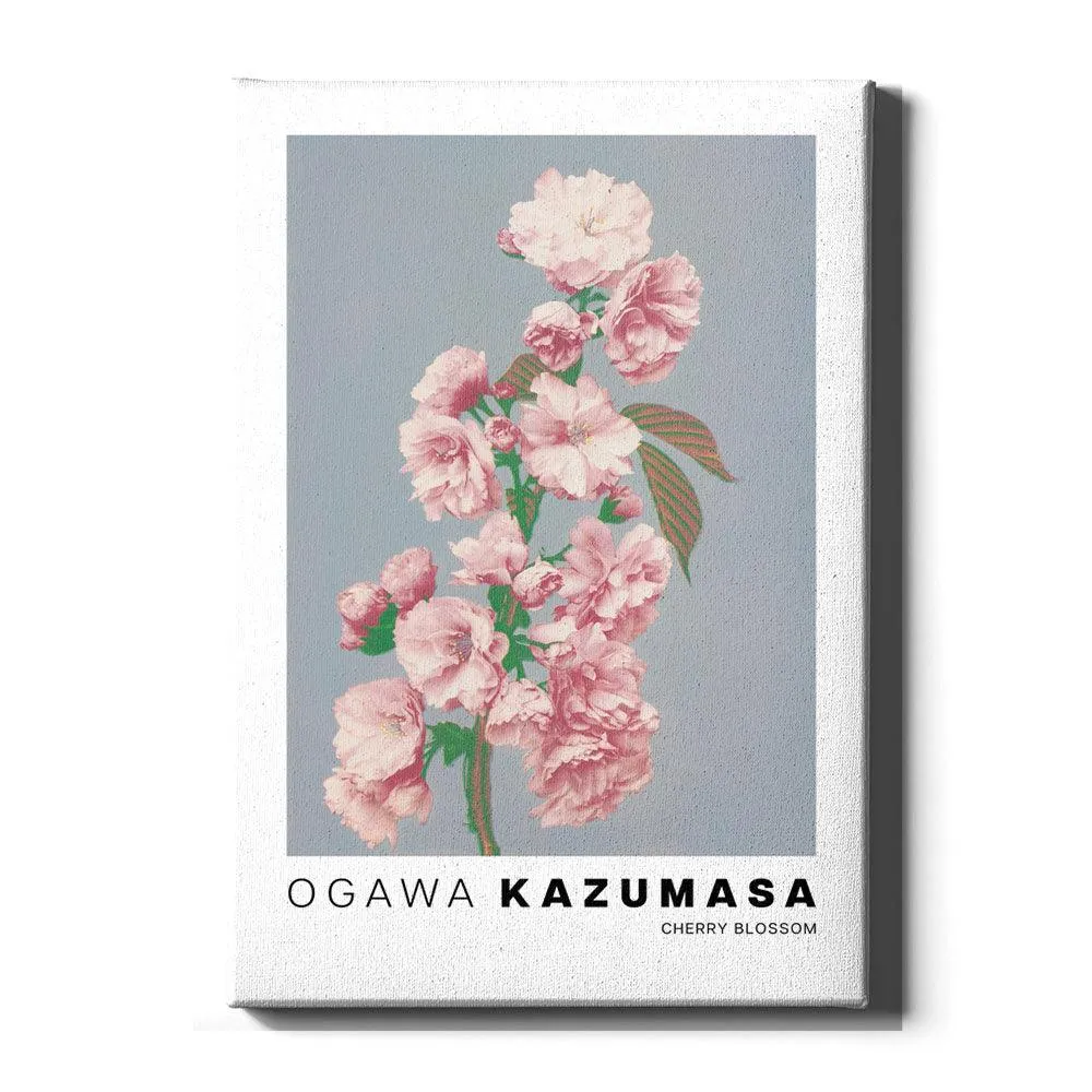Ogawa Kazumasa - Cherry Blossom