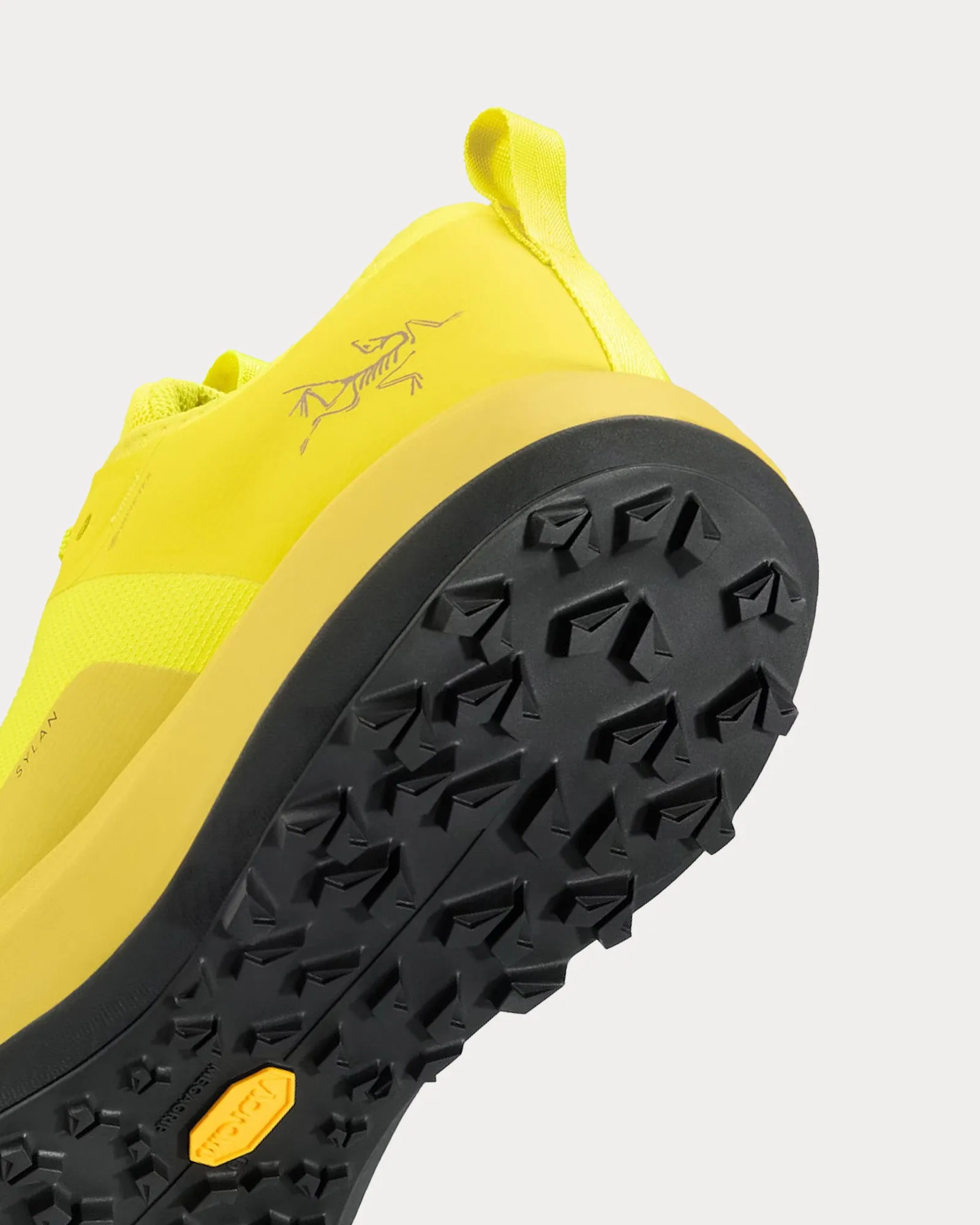 Sylan GTX Euphoria / Dk Euphoria Running Shoes
