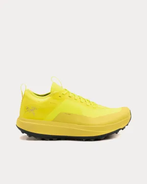 Sylan GTX Euphoria / Dk Euphoria Running Shoes